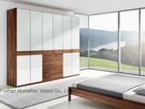 White Gloss Unique Lacquer Wardrobe Cabinet (HF-EY09042)