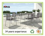 Very Nice Design Garden Dining Chairs with Stainless Steel Frames