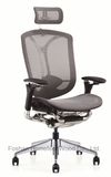 Ergohuman Mesh Office Chair with Headrest (HF-CH208A)