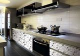 Custom Kitchen Cabinet with Home Furniture (ZH-9605)
