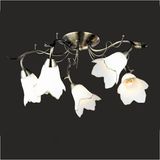 Chandelier Ceiling Lamp Greative Lamps (GX-6066-5)