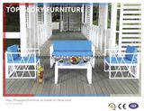 Rattan Wicker Sofa Dining Leisure Outdoor Furniture (TG-064)
