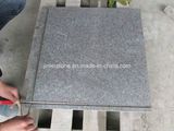 G684/G684 Granite Tile/G684 Granite Floor Tile/G684 Granite Paving/G684 Paving Tile/Black Granite/Black Granite Tile/Black Granite Paving Tile/Black Basalt