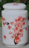 Chinese Antique Porcelain Spice Jar