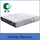 Modern Design Latex Foam Pocket Spring and Foam Encased Mattress