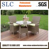 Outdoor Bistro Rattan Chair (SC-B6902)
