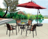 Outdoor /Rattan / Garden / Patio / Hotel Furniture Rattan Chair & Table Set (HS 1023C & HS 6076DT)