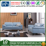 Simple Designs Livingroom Modern Sofa for Home Use (TG-S215)