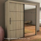 Durable Bedroom Furniture 2 Door Mirrored Sliding Wardrobe (WB32)
