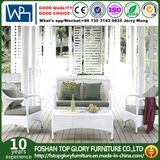 Wicker Furniture - Patio Wicker Sofa Set - Outdoor Traditional Sofa (TG-1506)