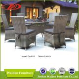 Restaurant Furniture Rattan Dining Set (DH-6112)