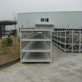 Chinese Industry Manufacturer Warehouse Long Span Shelving