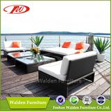 Garden Furniture/ Rattan Sofa Set (DH-8540)