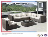 New Design Outdoor/Patio Furniture Sofa Set (TG-047)