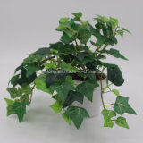 Handmade Artificial Plant English IVY for Home Decorate