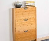 Solid Wooden Shoe Rack Cabinet (M-X2097)