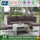 Rattan Effect Daytona Used Outdoor Sofas (TG-061)