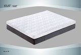 Foam Mattress/Mattress/Roll Compressed Mattress