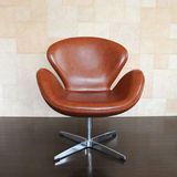 Living Room Furniture Swan Leisure Chair