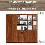 Modern Office Furniture New Style Bookcase Office File Cabinet (12FC21)