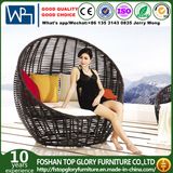 Rattan Outdoor Furniture Sun Loungers Wicker Daybed (TGLI-10)