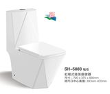 Ceramic One Piece Bathroom Water Closet (NJ-5883)