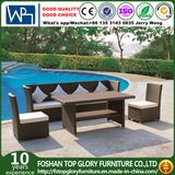 Outdoor Single Sofa/Rattan Single Sofa/Wicker Sofa with Cushion (TG-JW59)