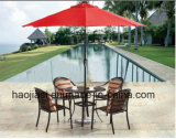 Outdoor /Rattan / Garden / Patio / Hotel Furniture Rattan Chair & Table Set (HS 1001C-2& HS6105DT)