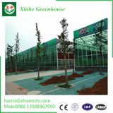 The China Flat Bed Hydroponics Vertical Hydroponics Plastic Hydroponics System