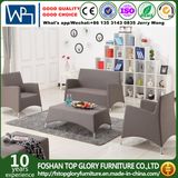 New Design Aluminum Sofa Fabric Sofa Modern Sofa (TG-6103)