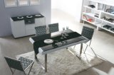 Modern Glass Dining Table and Dining Chair (CT-149)