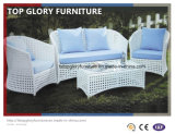 Outdoor Rattan Furniture Hotel Leisure Sofa (TG-081)