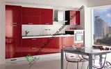 Birch Wood Kitchen Cabinet with Acrylic Insert (zs-462)
