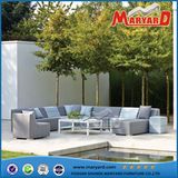 Modern Sofa Lounge Sofa Modern Design Sofa