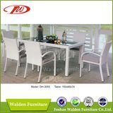 White Rattan Dining Set (DH-3055)