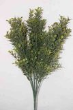 PE Two-Tips Boxwood Artificial Plant for Home Decoration (48430)