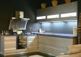 Baked Paint Kitchen Cabinet (M-L88)