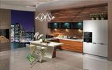 Custom Kitchen Furniture UV Kitchen Cabinets with High Quality (zs-155)