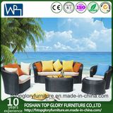 New Design Balcony Sofa Set Rattan Furniture Outdoor Furniture Sofa (TG-040)