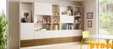 Modern High Glossy + Timber Venner Finish Family Living Furniture (BY-L-01)