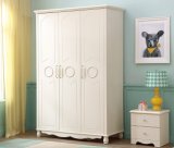 Customized Wardrobe for Living Room Furniture with High Quality (WD-1247)