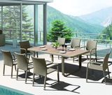 Outdoor Garden Patio Home Hotel Restaurant Rattan Siri Dining Table and Chair (J374)