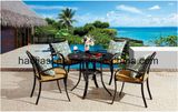 Outdoor /Rattan / Garden / Patio/ Hotel Furniture Polywood Furniture Chair & Table Set (HS3025C& HS6102DT)