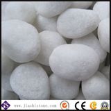 Snow White Pebble/River Stone in Project Garden Landscpae Decoration
