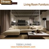 Teem Modern Home Center Sofa