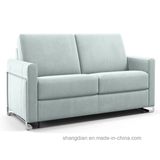 Factory Supply Hotel Two Seat Sofa Fancy Sectional Sofa (ST0075)