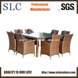 Rattan Dining Set/Outdoor Dining Set (SC-A7270)