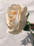 Artificial Rose Flower for Home Decoration /Artificial Flower Bride Holding Flowers for Wedding