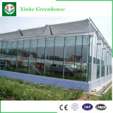 PC/Glass/Film Greenhouse with High Quality and Favorable Price