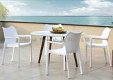 Resort Outdoor Restaurant Dining Plastic Table Chair (SP-UC470)